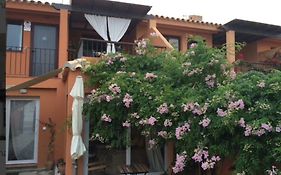 Beach Apartment Garden And Wifi